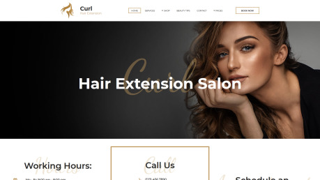 Hair Extension Website Design - image
