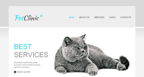 Pet Clinic html
