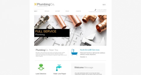Pro Plumbing