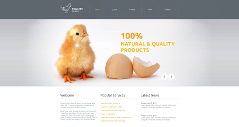 Poultry Farm html