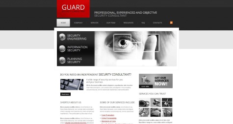 Guard Security Consultant