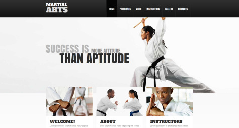 Martial Arts Instructors