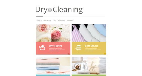 Pro Dry Cleaning