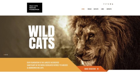 Wild Cats html