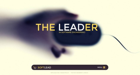 The Leader