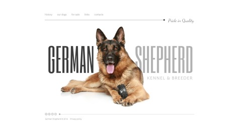 German Shepherd