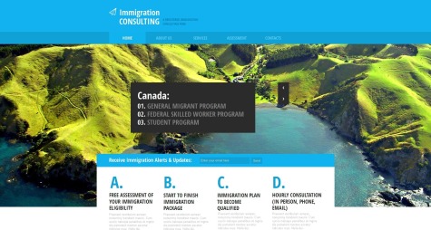 Immigration Consulting