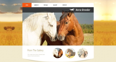 Horse Breeder html