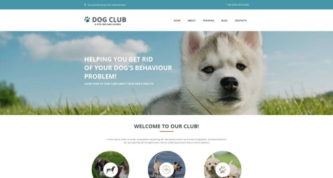 Dog Club html