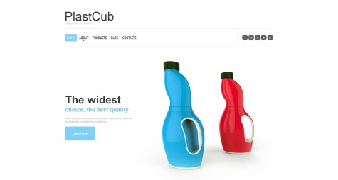 Plast Cub