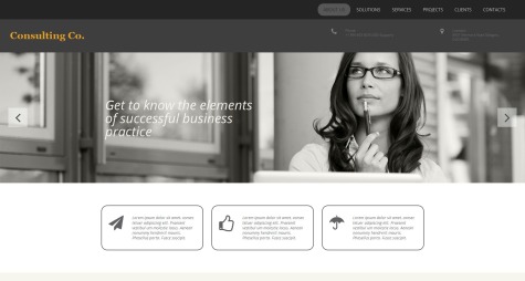 Consulting Co.