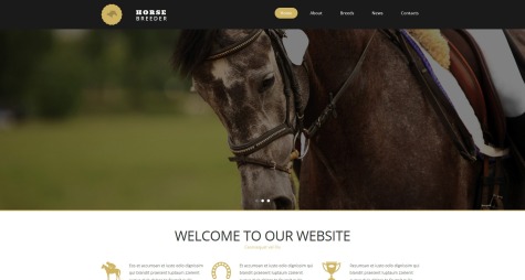 Horse Breeder