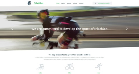 Triathlon