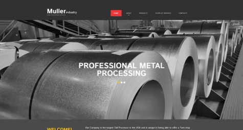 Muller Industry