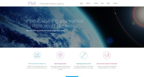 Financial Advisor