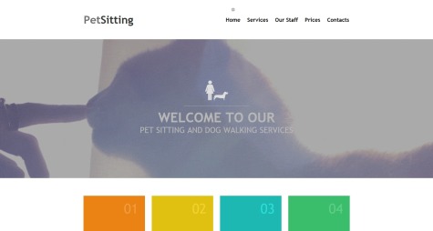 Pet Sitting