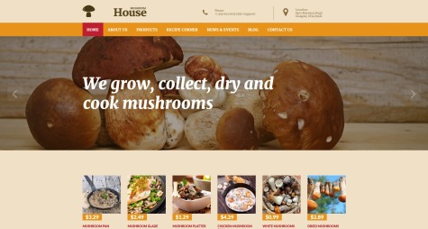 Mushroom House