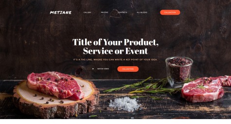 Metiane