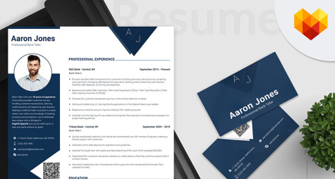 Professional Accountant Resume Template