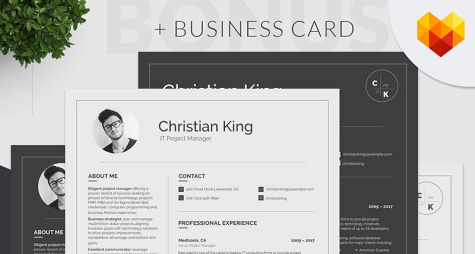 Project Manager Resume Template