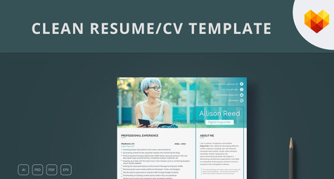 Copywriter Resume Template