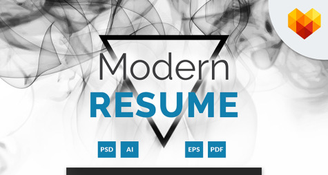 IT Project Manager Resume