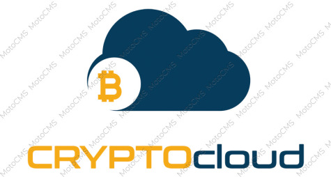 Bitcoin Logo Template