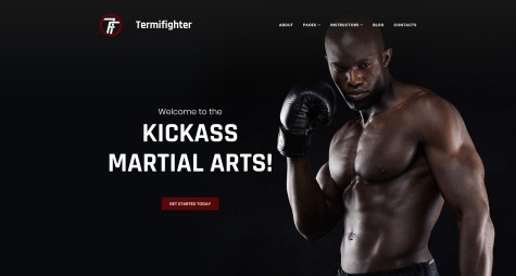 Termifighter