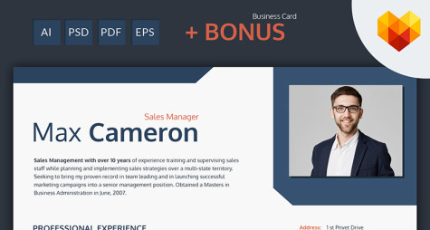 Sales Manager Resume Template