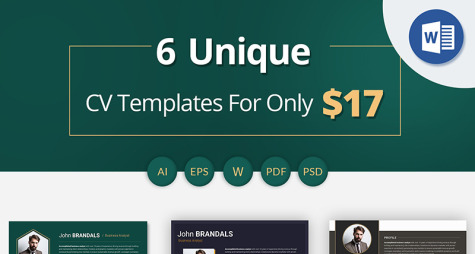 Business Analyst Resume Template