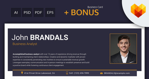 Resume Template for Business Analyst