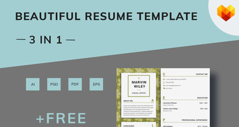 Resume Template for Artist