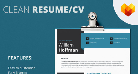 CV Template for Business Development Manager