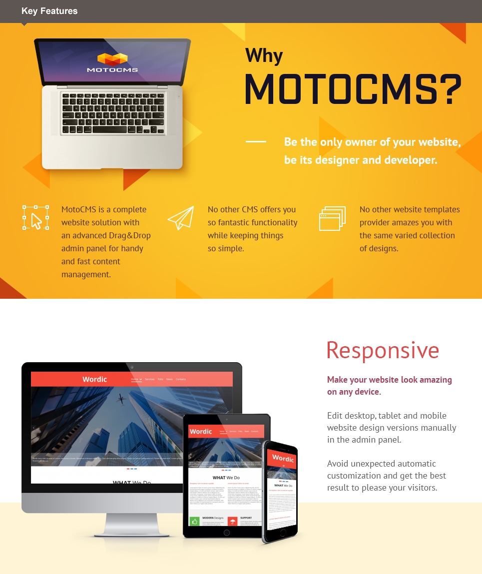 Web Development Website Template for Digital Company - MotoCMS