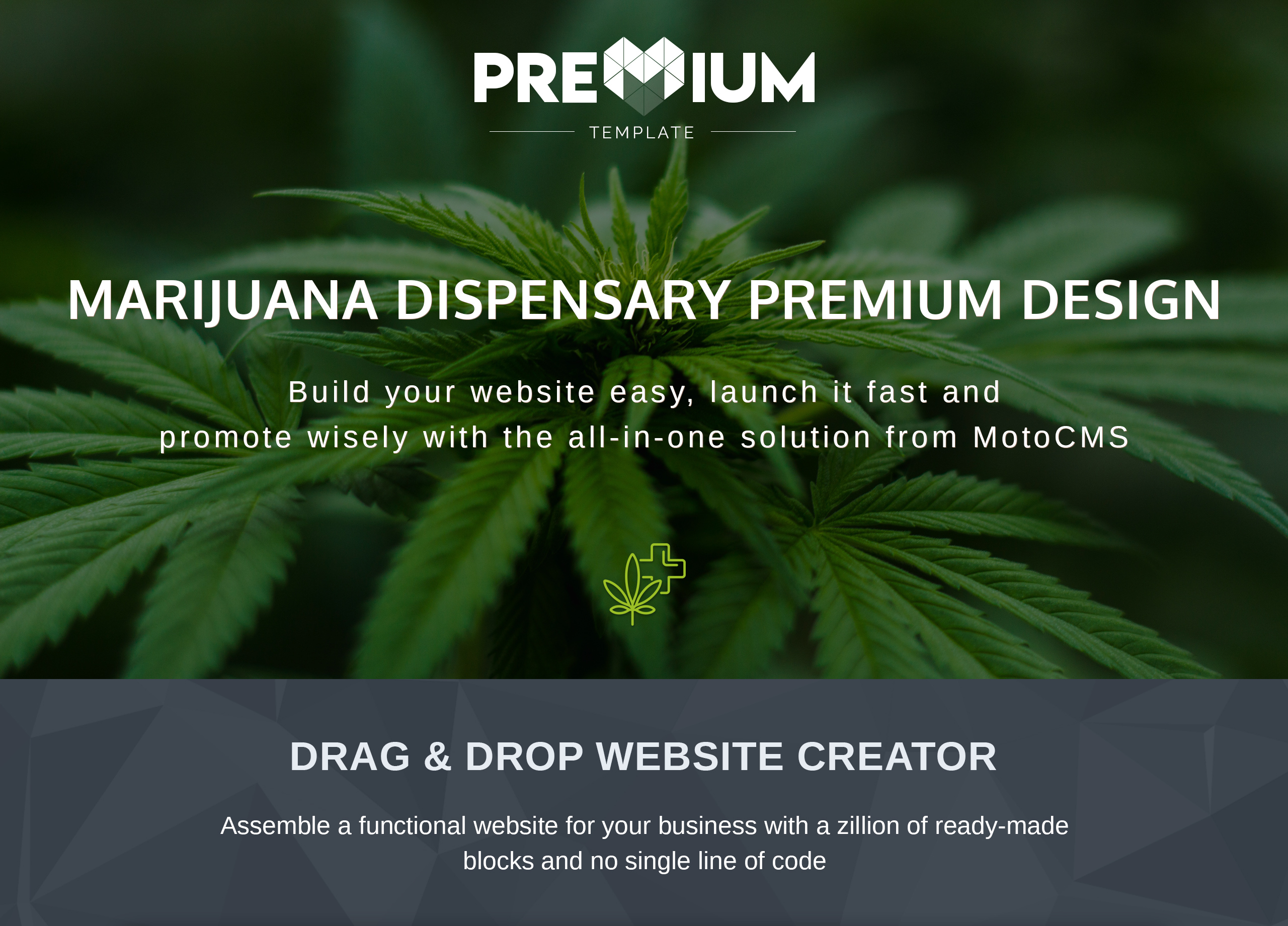 Dispensary Website Template for Medical Marijuana Site MotoCMS