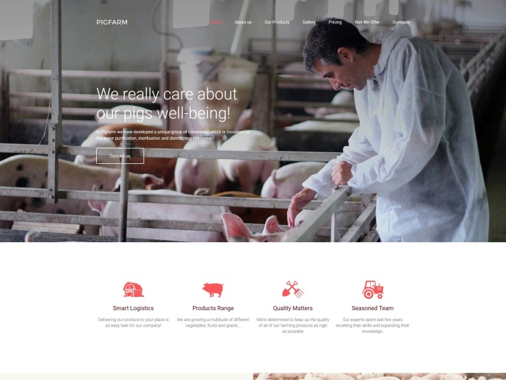 Pig Farm Website Design - PigFarm - main image