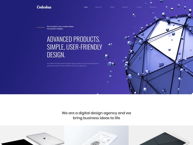 Web Design Company Website - Codeskus - main image
