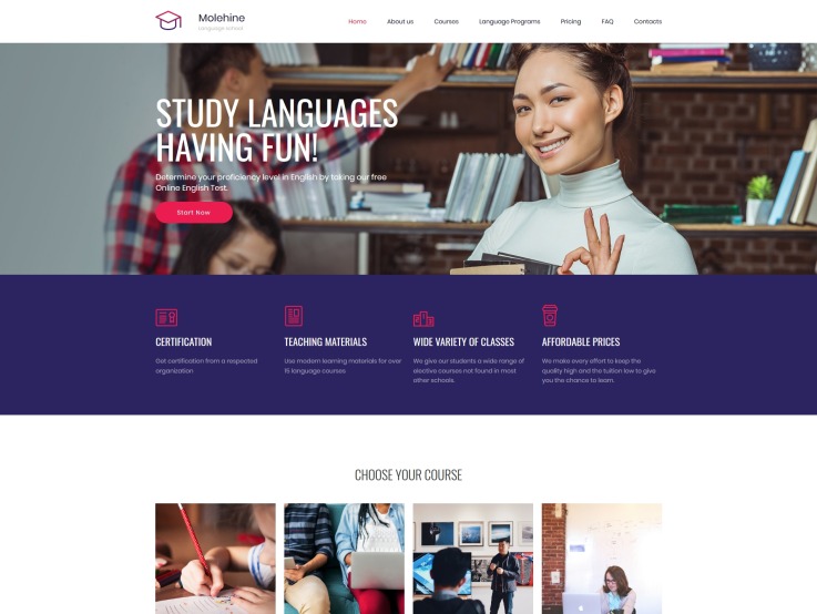 Education Website Design - Molehine - main image