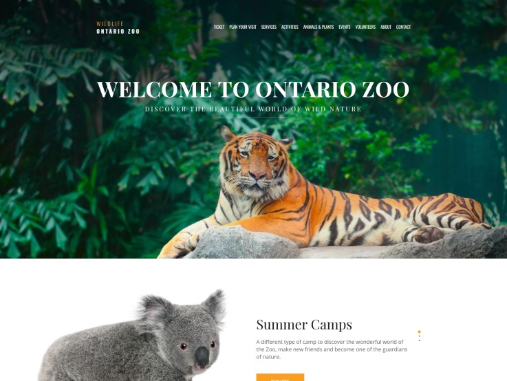Zoo Website Design - WildLife - main image