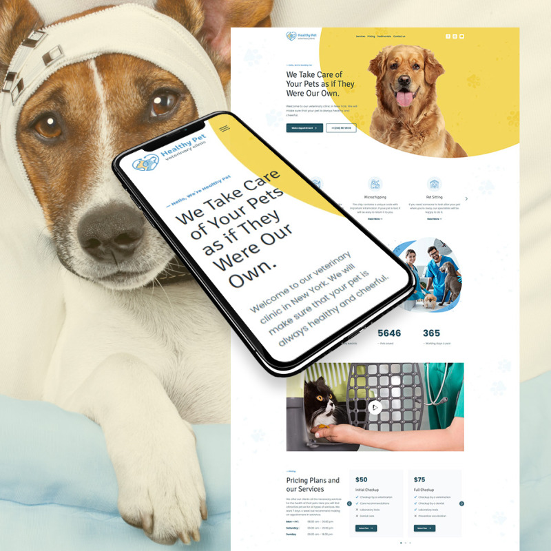 Veterinary Clinic Website Design MotoCMS - Main Image