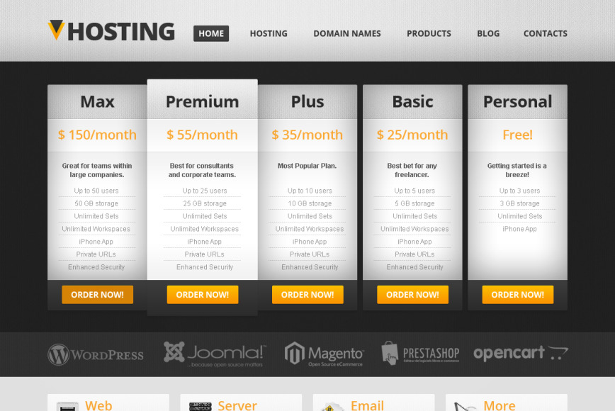 Hosting Web Design for Web Hosting Services image