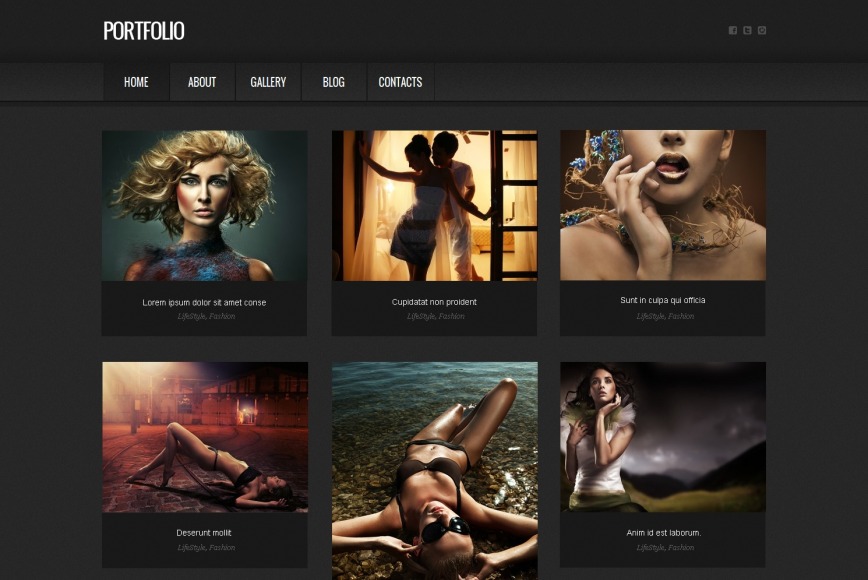 Portfolio Website Template with 2 Grid Photo Galleries - image