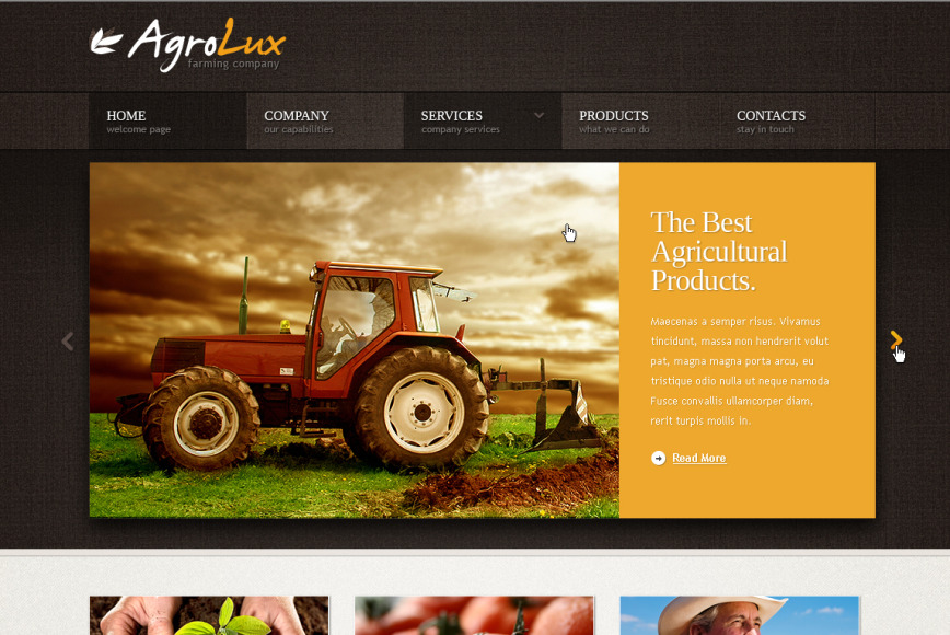 Agriculture Web Template for Farming Companies - image