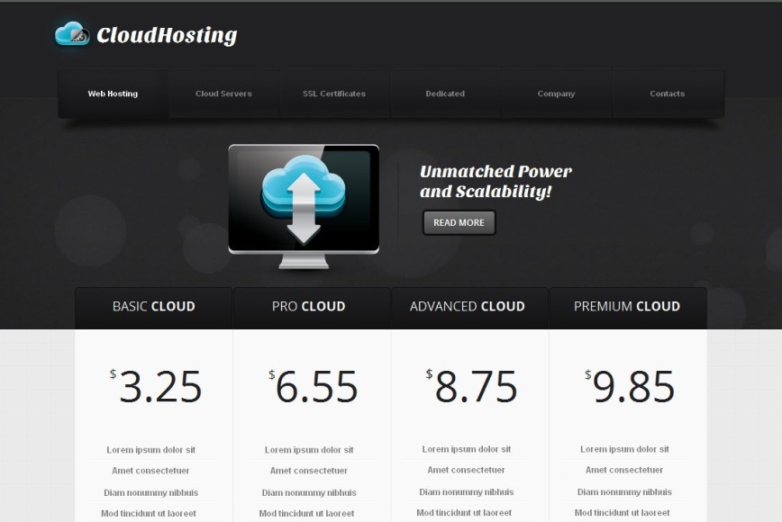 Hosting Provider Website Template - image