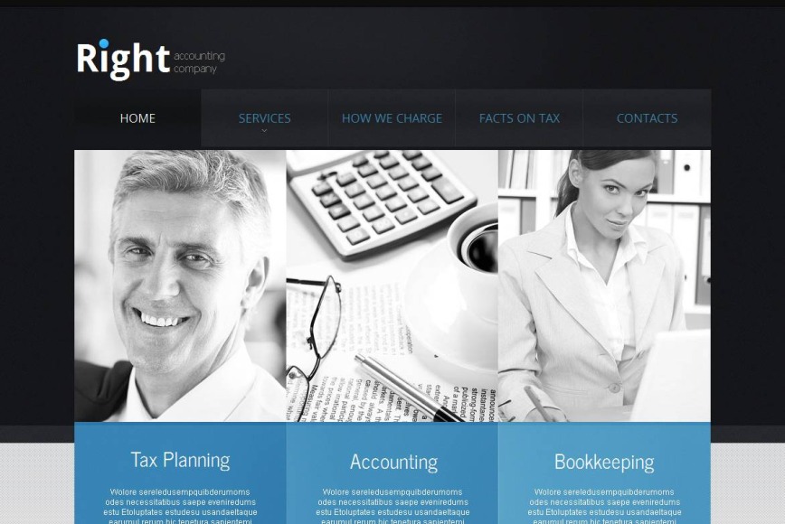 Business Website Template with Minimalistic Design - image