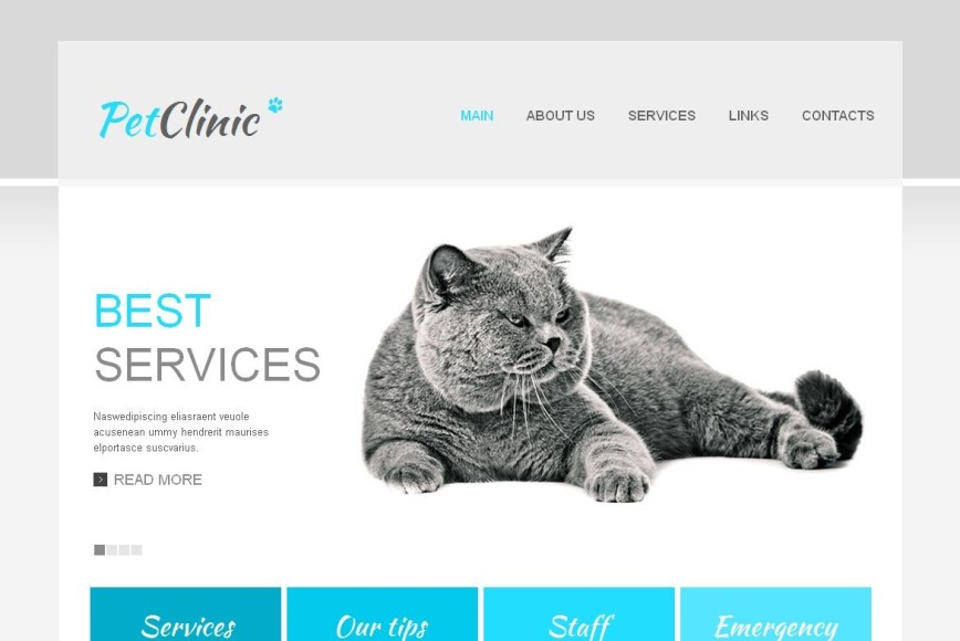 Veterinary Website Template for Pet Clinic MotoCMS