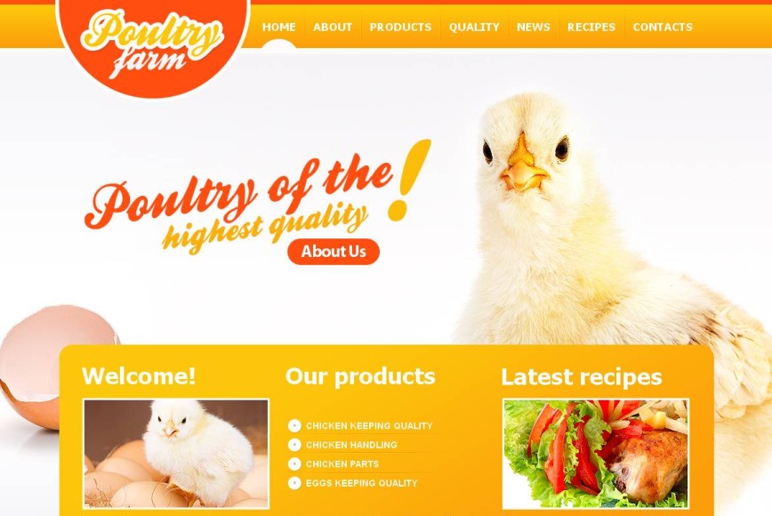 Yellow Website Template with Photo Background for Poultry Farming - image