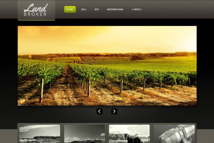 Land Broker Website Template Designed in Dark Colors - image