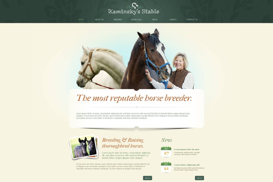 Creative Website Template for Horse Businesses - image