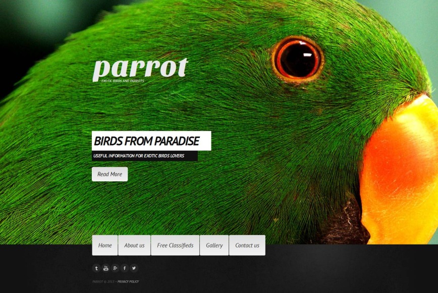 Website Template with a Background Photo for Exotic Bird Breeders - MotoCMS